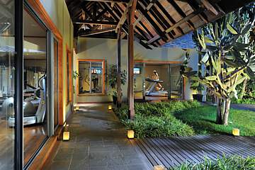 Royal Palm Beachcomber