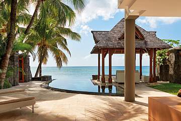 Royal Palm Beachcomber