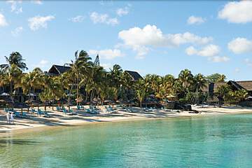 Royal Palm Beachcomber