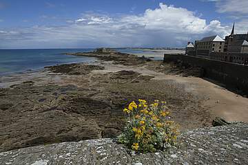 Saint-Malo