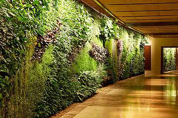 Sofitel Dubai The Palm Resort & SPA