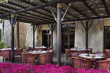 Sofitel Dubai The Palm Resort & SPA