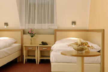 Termální lázně Velké Losiny - Dvoulůžkový pokoj Diana***