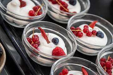  The Place Mariner - Adults Only