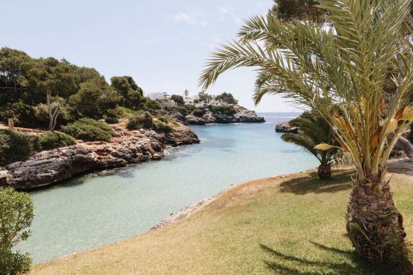 AluaSoul Mallorca Resort 