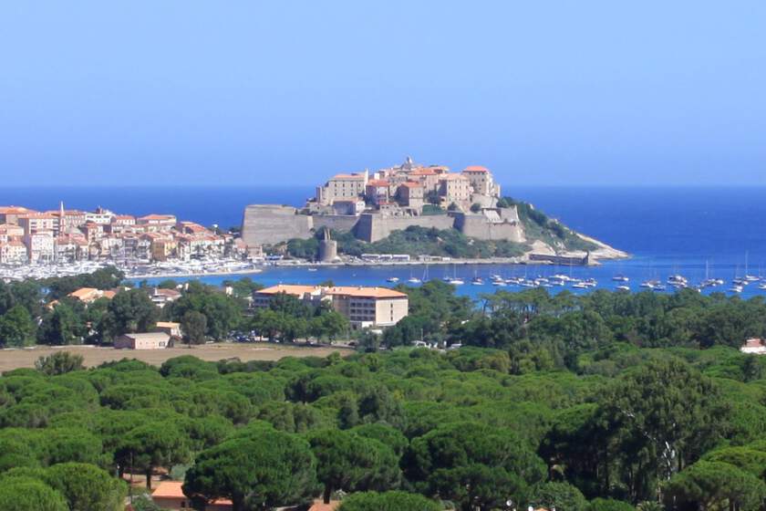 Calvi
