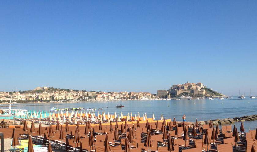 Calvi