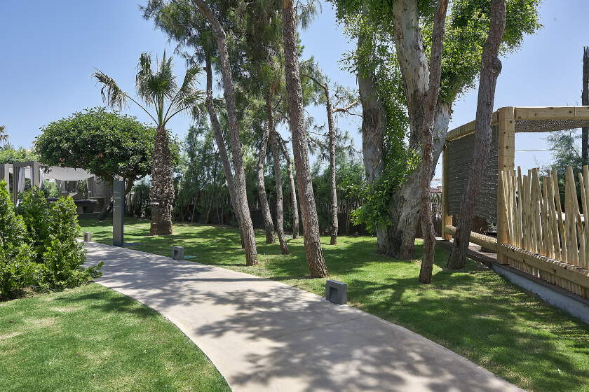 Elysium Boutique Hotel & SPA