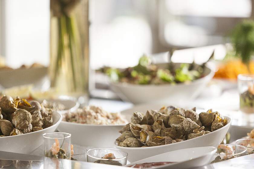 Holiday Village Moliets