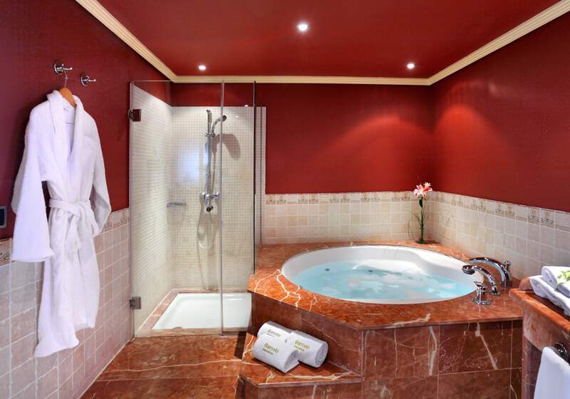 Hotel Barcelo Marbella - Deluxe
