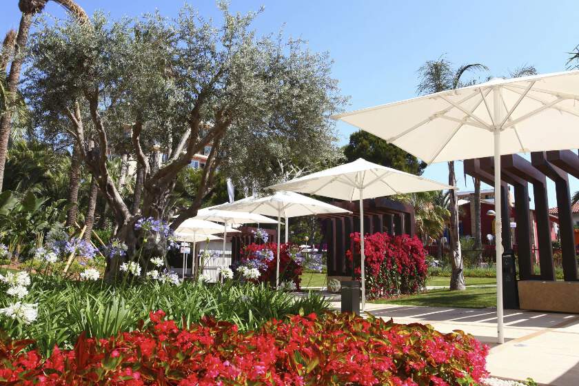 Hotel Pure Salt Garonda