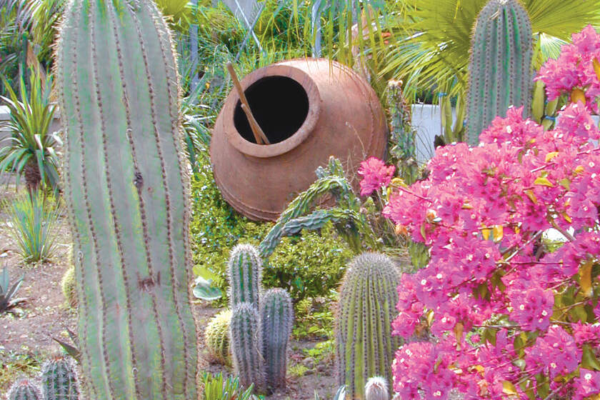 Hotel San Pietro - zahrada