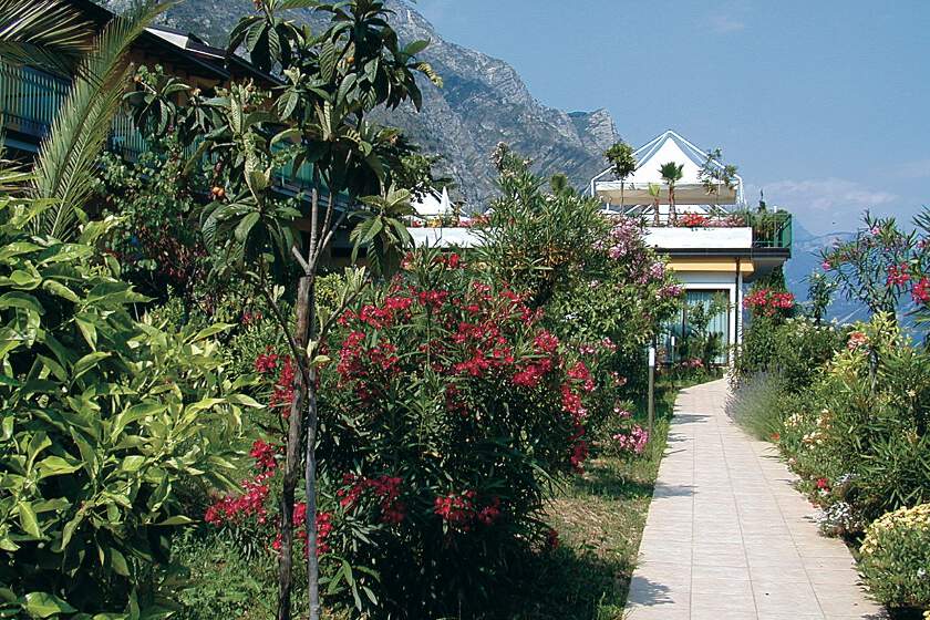 Hotel San Pietro - zahrada