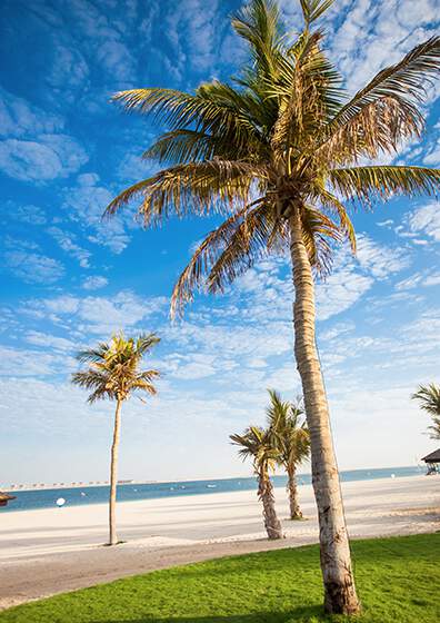 Jebel Ali Beach Hotel