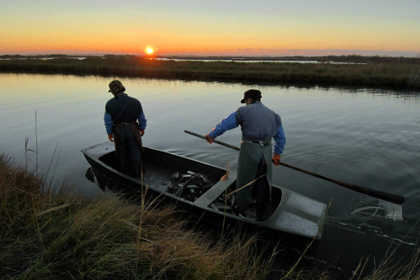 Lido di Jesolo - rybaření