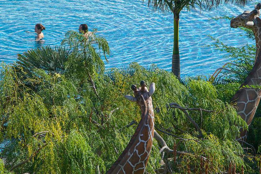 Lopesan Baobab Resort