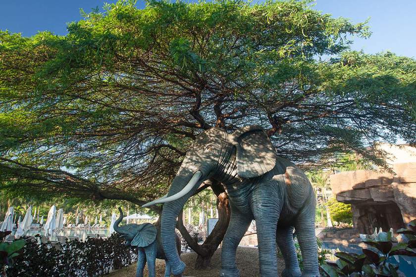 Lopesan Baobab Resort