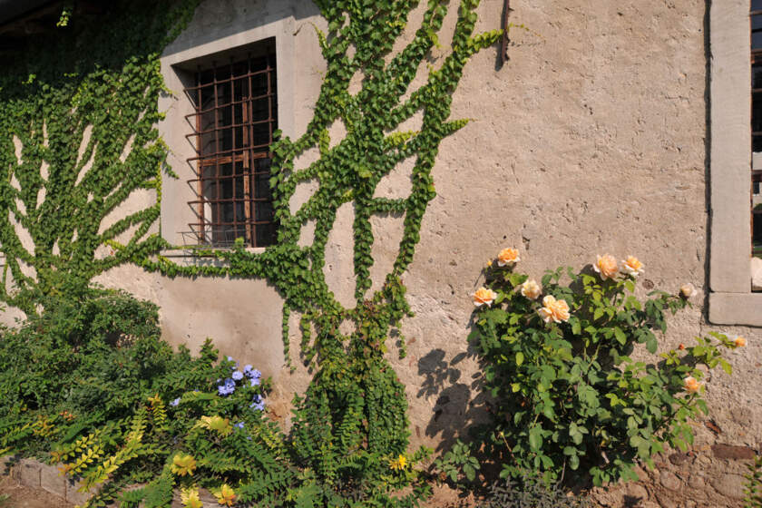 Resort Corte Paradiso