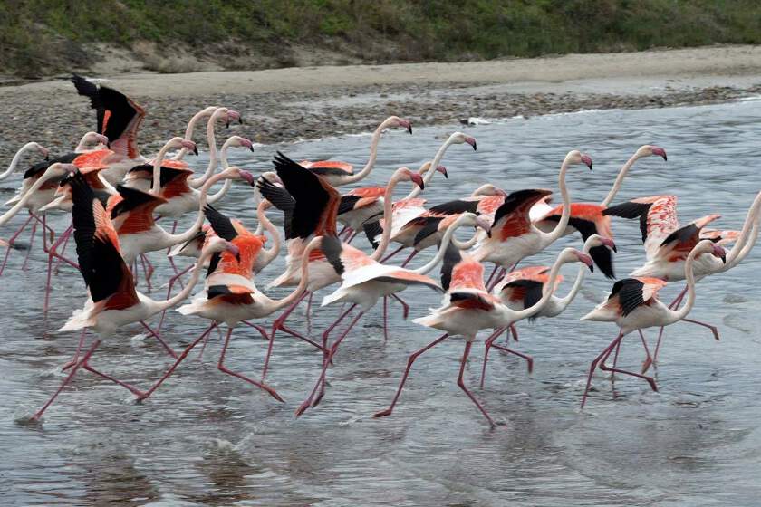 Rezidence Lantana Resort